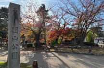 Explore Heritage and Landmarks of Kyoto with E-Bike Ride