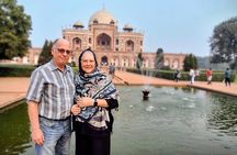 Discover Delhi Old and New in a Full Day Private Tour
