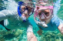 Musandam Day Tour with Lunch and English or Russian Guide