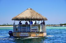 Dolphin Sightseeing Tiki Boat Tour 90 minutes