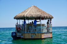 Dolphin Sightseeing Tiki Boat Tour 90 minutes