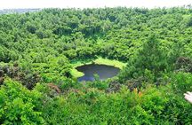 Mauritius : Full Day South Tour with guide