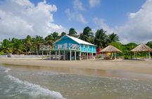 Beach Day at The Pink Mango, just 10 mins from town.