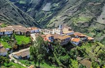 Mérida Private Walking Tour with a Local