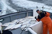 Full Day Halibut Bottom Fishing Charter - 10 Hours