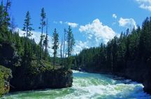Yellowstone Full Day Private Tour & Hike - from Inside the Park