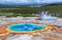 Yellowstone Full Day Private Tour & Hike - from Inside the Park
