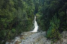 One Day Tour from Hokitika on Wilderness Trail by eBike