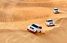 Doha Premium Half Day Desert Safari Camel Ride and Inland Sea