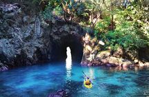 Whenuakura Island Kayak Adventure Guided Tour