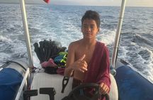 Whale Watching in Kona