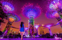 Singapore River Cruise with Spectra & Garden Rhapsody Light Show