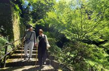 Usuki Stone Buddhas Private Day Tour