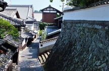 Usuki Stone Buddhas Private Day Tour