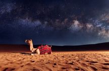 Doha Night Desert Safari with Dune Bashing,Stargazing & Adventure