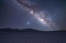 Doha Night Desert Safari Camel Ride & Dune Bashing 