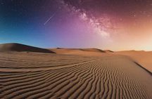 Doha Night Desert Safari Camel Ride & Dune Bashing 