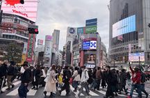 Tokyo Private Half-Day Highlights Tour by Car with Guide