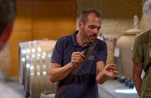 Afternoon Wine Tour to Chateauneuf du Pape from Avignon