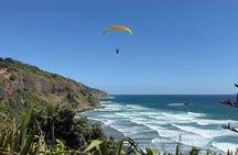 The Ultimate Muriwai Gannet Colony Experience Private Tour
