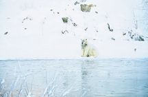 Rovaniemi: Ranua Arctic Wildlife Zoo Park Tour & Hot BBQ lunch 