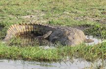 7 Day Safari Victoria Falls, Hwange and Chobe Adventure