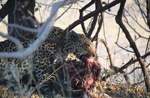 7 Day Safari Victoria Falls, Hwange and Chobe Adventure