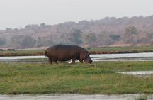 7 Day Safari Victoria Falls, Hwange and Chobe Adventure