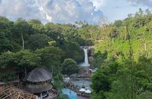 Half Day Ubud Private Tour with All Inclusive 