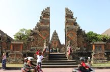 Half Day Ubud Private Tour with All Inclusive 