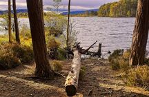 Into the Wild Scottish Highlands Walking Tour from Inverness
