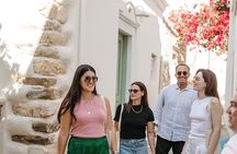 Half day Naxos Island Private Tour