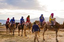 Atlas Mountains Day Trip: 3 Valleys, Camel Ride &Berber Villages