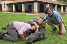 Private Gaucho Day to an Authentic Argentinian Estancia