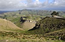Te Mata Explorer Private Tour from Napier Cruise Port