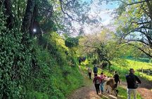 Sassari: hiking with donkeys in Cargeghe and aperitif