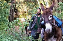 Sassari: hiking with donkeys in Cargeghe and aperitif
