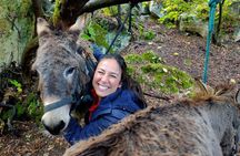 Sassari: hiking with donkeys in Cargeghe and aperitif