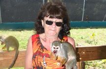 Featured Route of Monkey and Puerto Plata City Tours