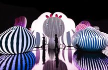 Balloon Museum Dallas Admission