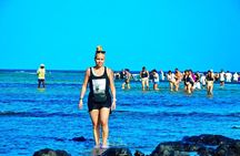 Visit the Shark Bay on the island of Sal