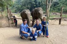 Taj Mahal & Agra Tour with Elephant Conservation Centre