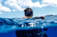 Cozumel Reef Suba Diving Adventure for Certified Divers