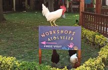 Turkish Delight & Aromatherapy 