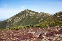 White Mountains Full Day Private Tour & Hike