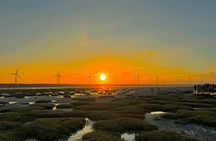 Gaomei Wetland Day Trip from Ximending