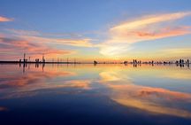 Gaomei Wetland Day Trip from Ximending