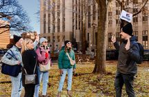 Chinatown & Little Italy Food Tour in New York City