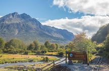 Shore Excursion - National Park Tierra del Fuego