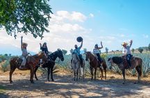 Agaves and Tequila Horseback Ride in El Arenal Jalisco